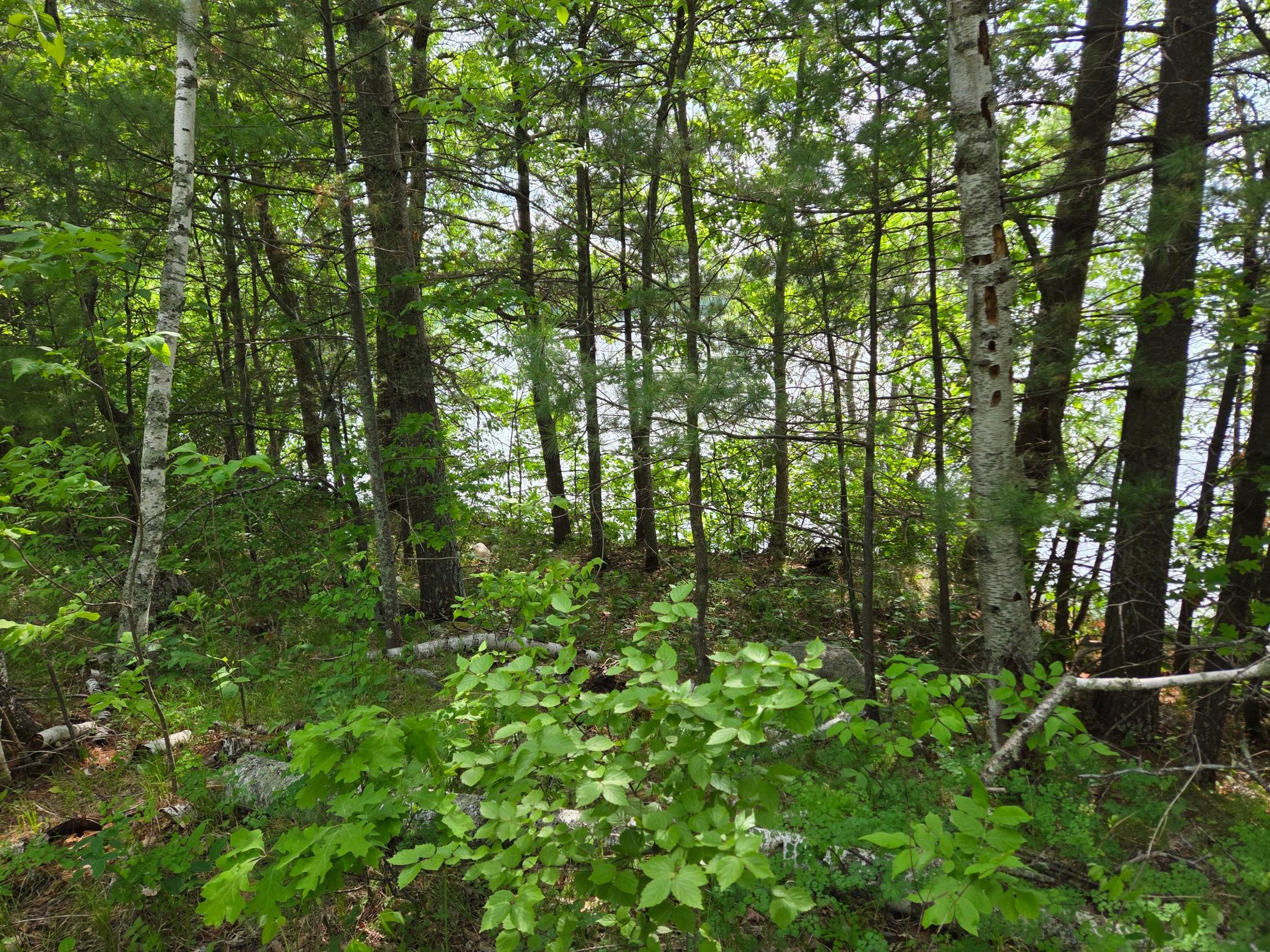 2005 single family home for sale at TBD Andrusia Road SE, Unit Lot 4, Block 1 in Cass Lake, MN — 2 bed, 1 bath (photo 15 of 23)