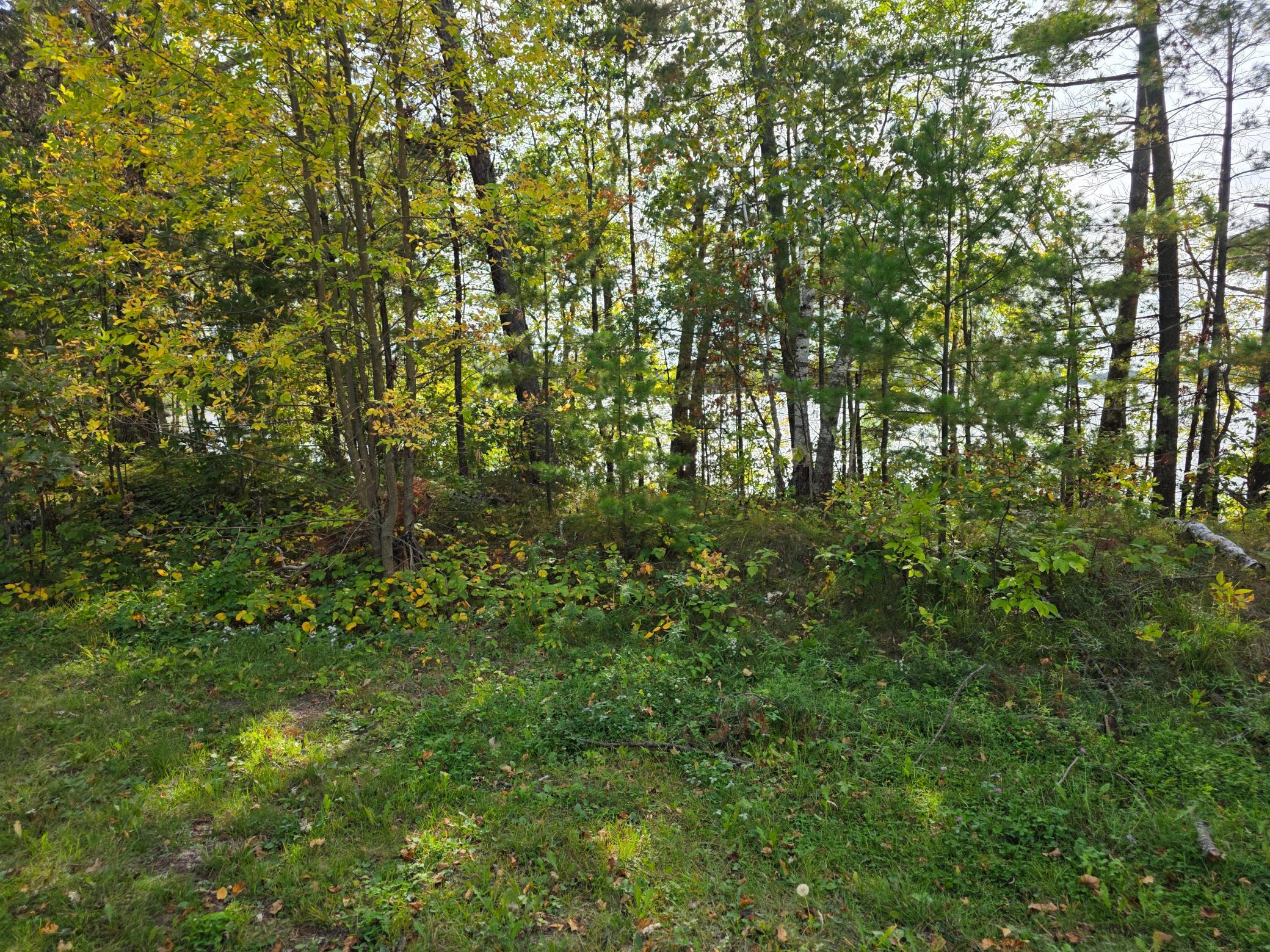 2005 single family home for sale at TBD Andrusia Road SE, Unit Lot 4, Block 1 in Cass Lake, MN — 2 bed, 1 bath (photo 17 of 23)