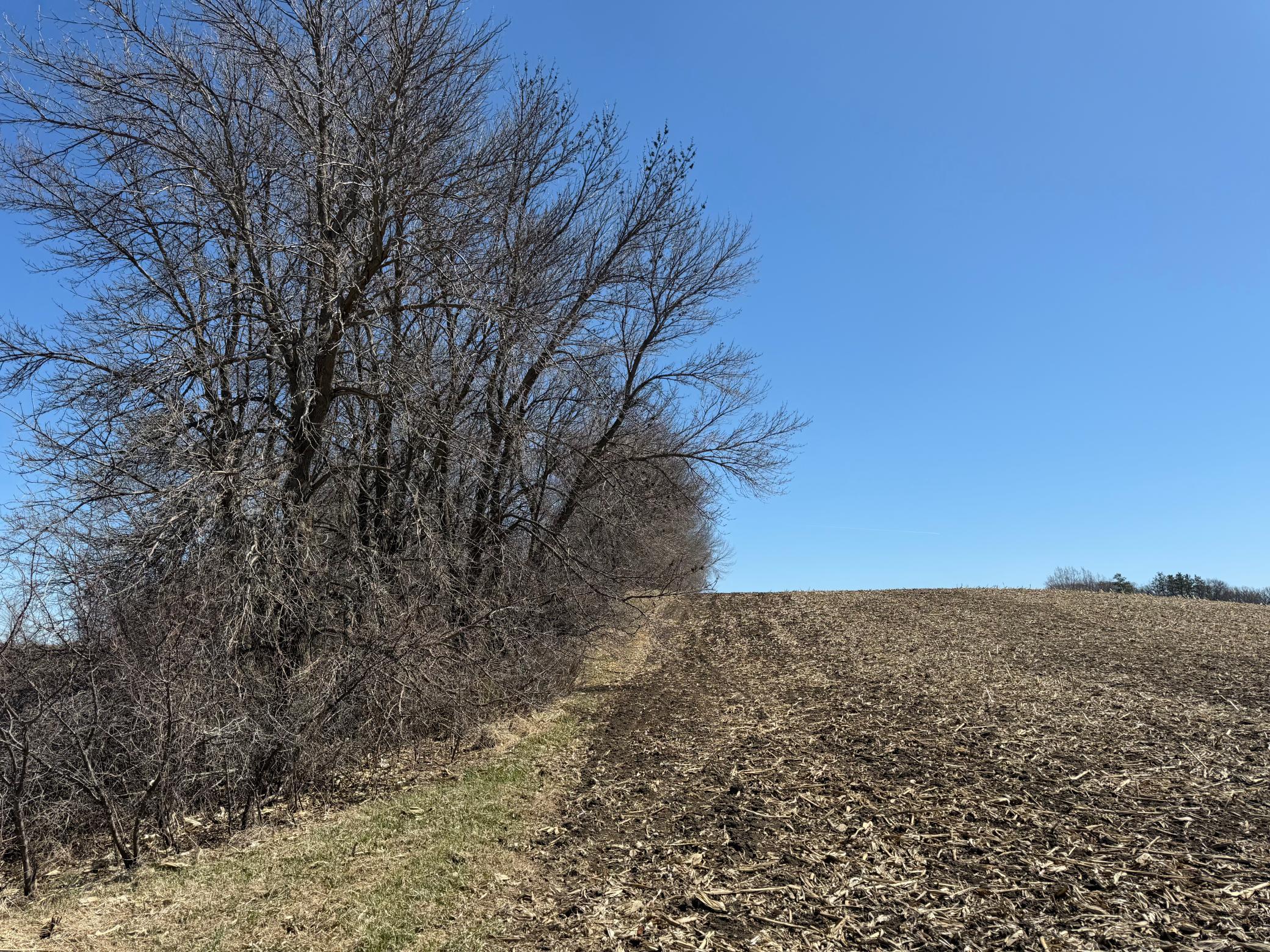 land for sale at TBD Co Hwy 18 in Fergus Falls, MN (photo 19 of 37)