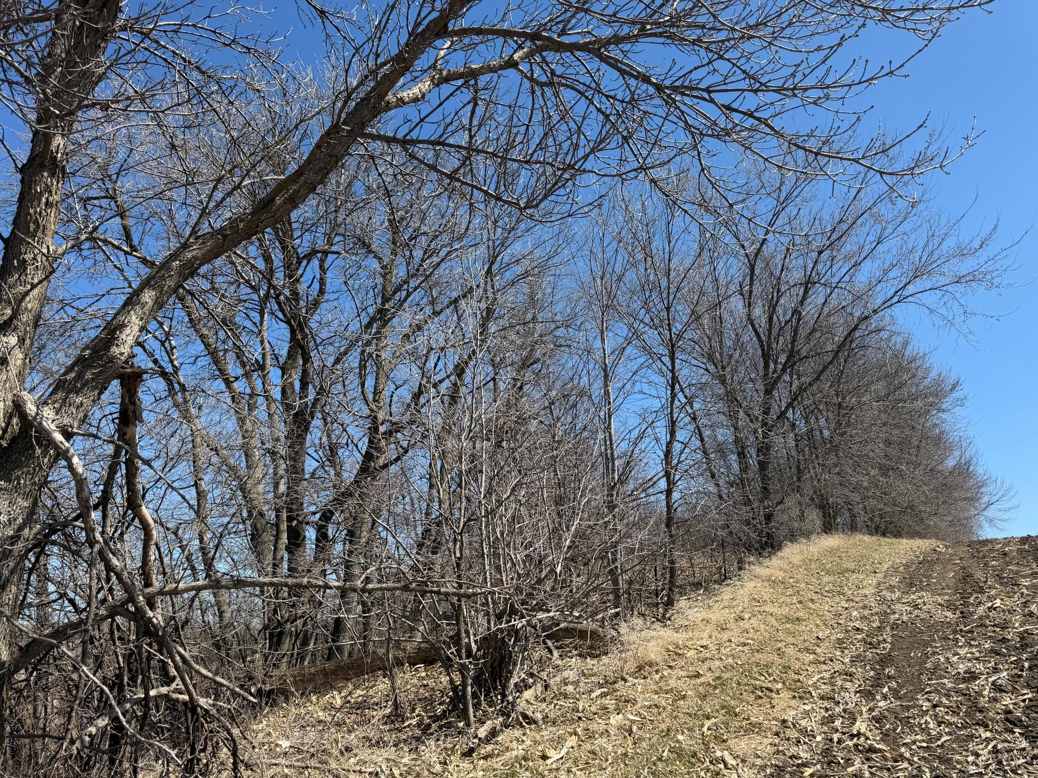 land for sale at TBD Co Hwy 18 in Fergus Falls, MN (photo 20 of 37)