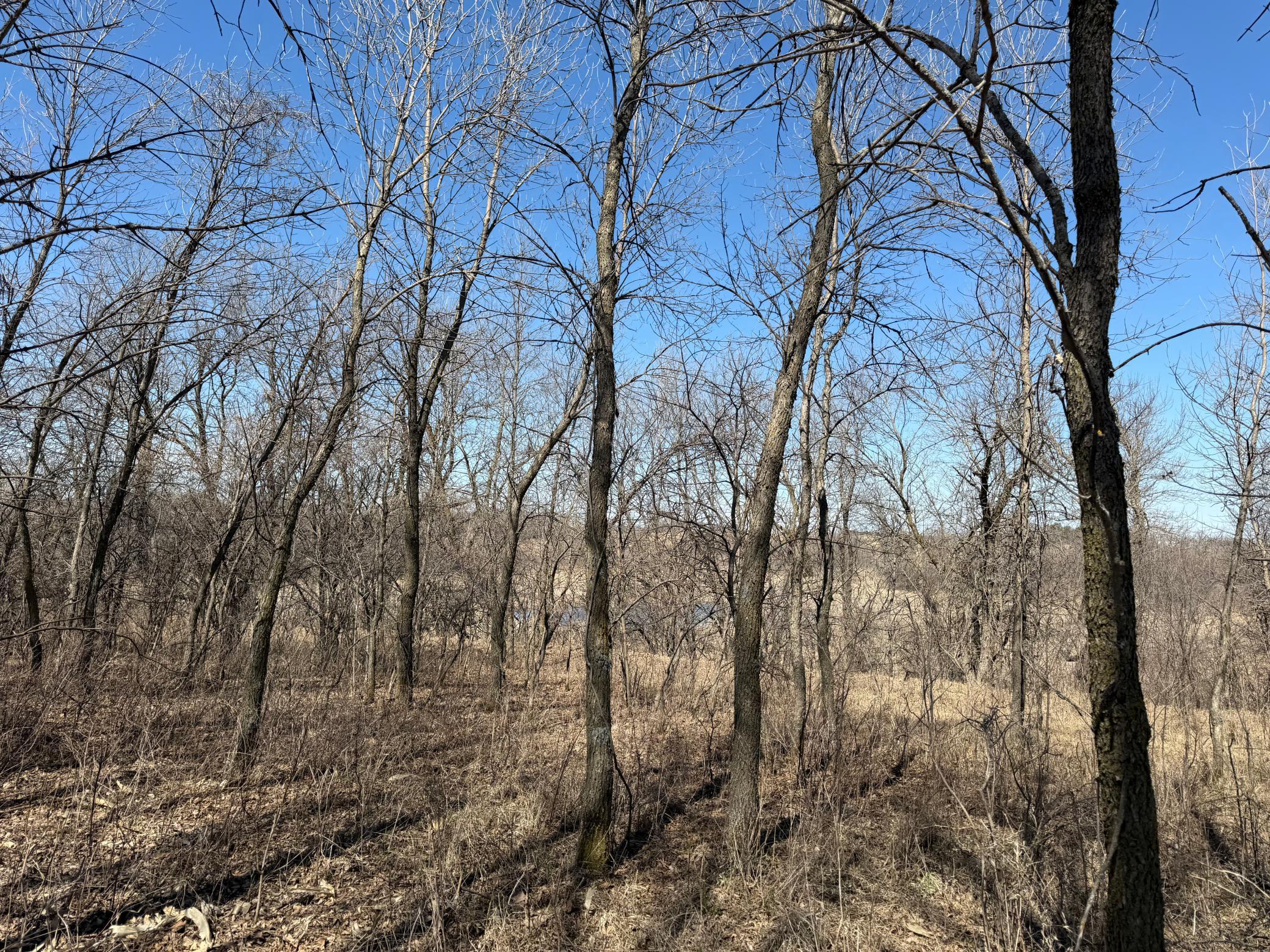 land for sale at TBD Co Hwy 18 in Fergus Falls, MN (photo 23 of 37)