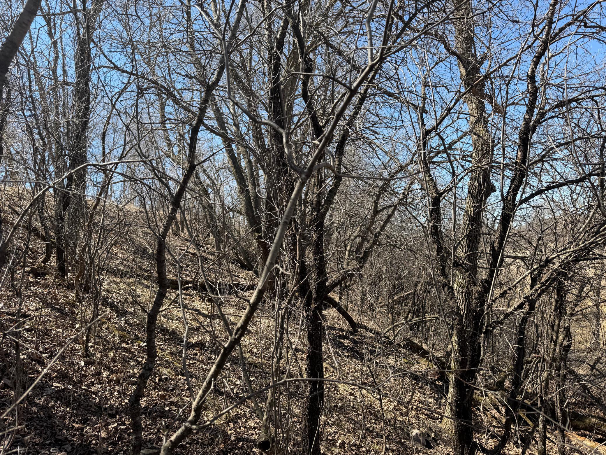 land for sale at TBD Co Hwy 18 in Fergus Falls, MN (photo 26 of 37)