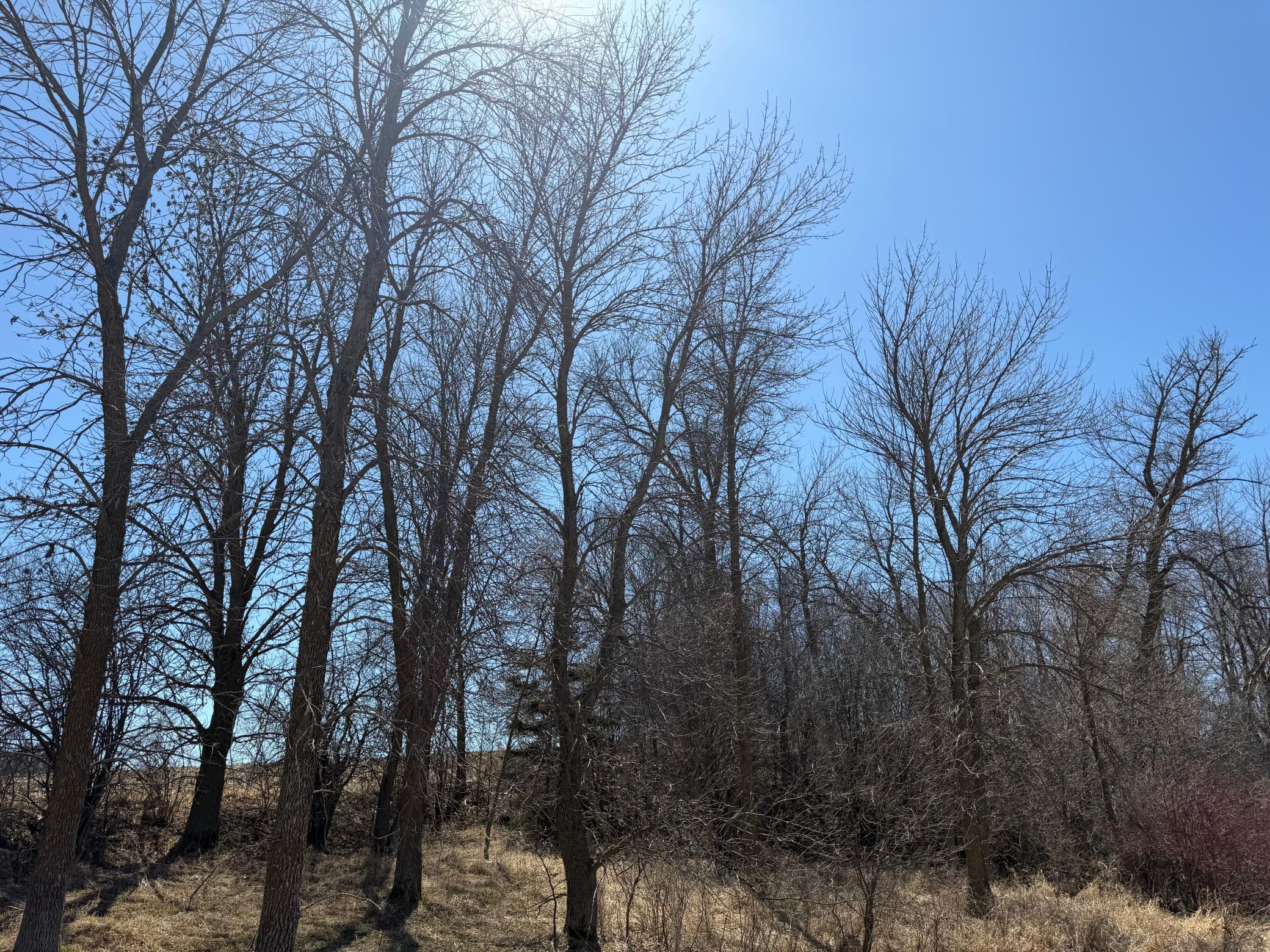 land for sale at TBD Co Hwy 18 in Fergus Falls, MN (photo 29 of 37)
