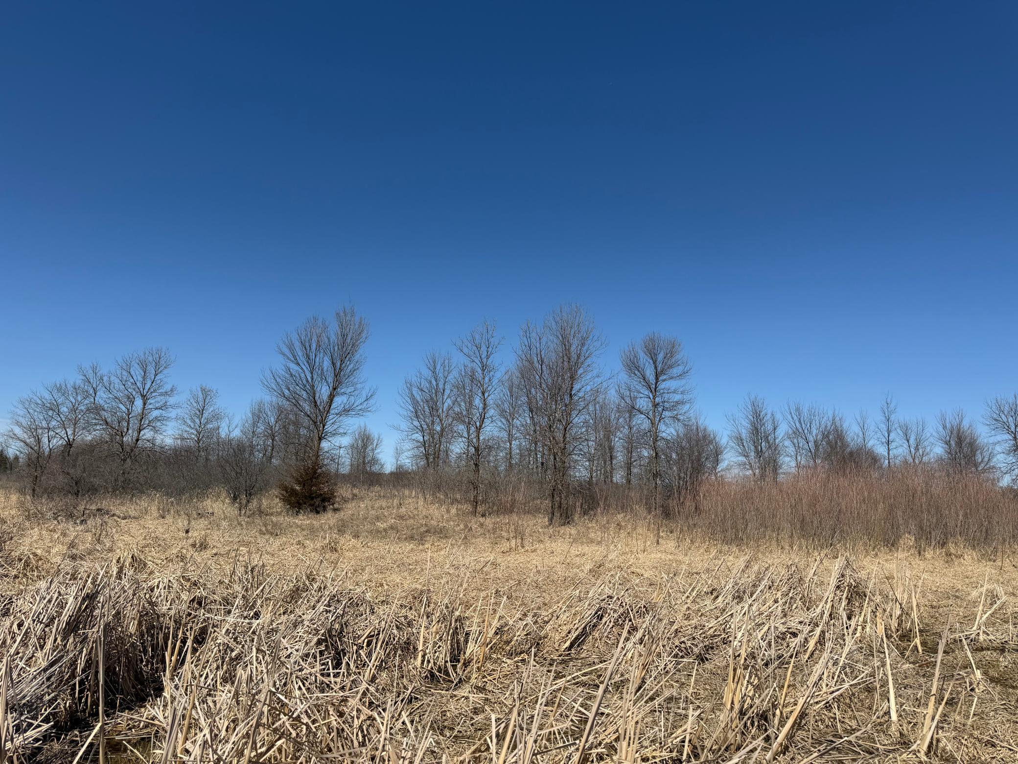 land for sale at TBD Co Hwy 18 in Fergus Falls, MN (photo 31 of 37)