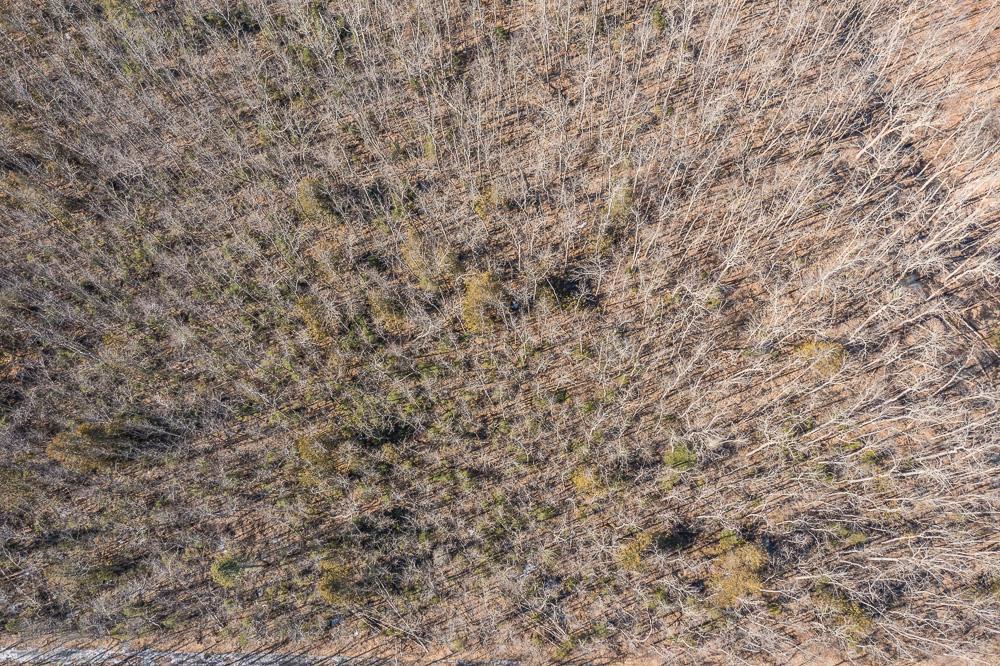TBD 250th Place, Isle MN 56342 - Photo 11 of 26