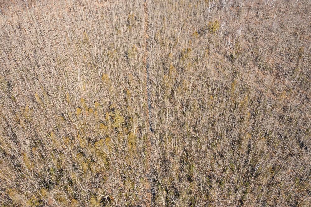 TBD 250th Place, Isle MN 56342 - Photo 22 of 26