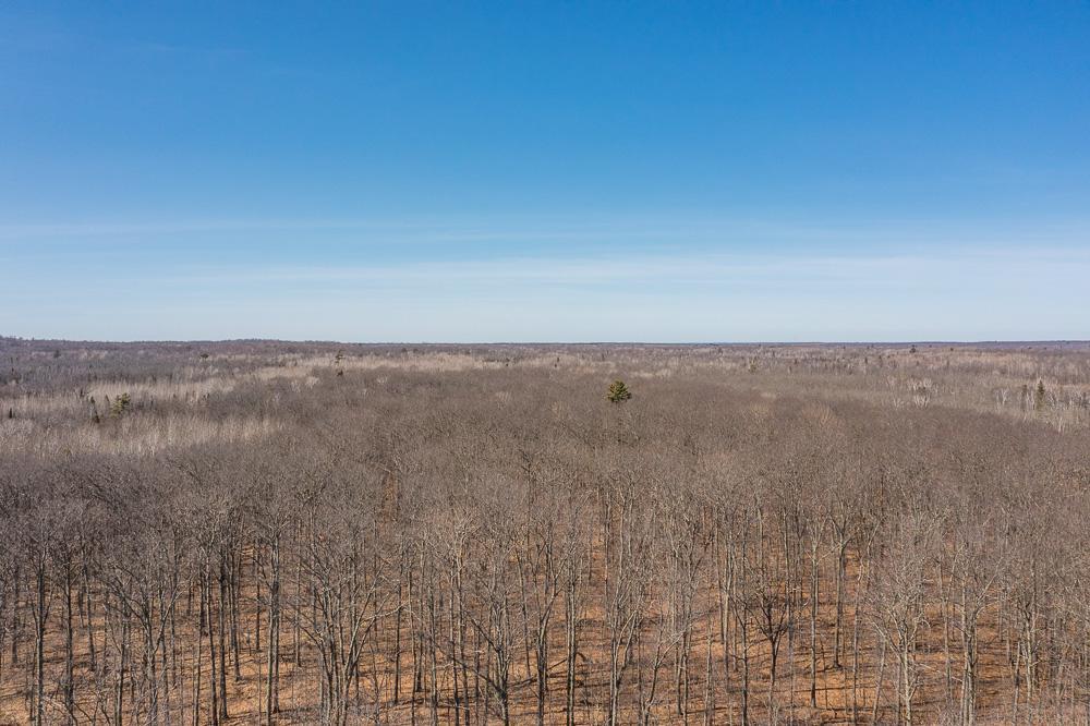 TBD 250th Place, Isle MN 56342 - Photo 24 of 26