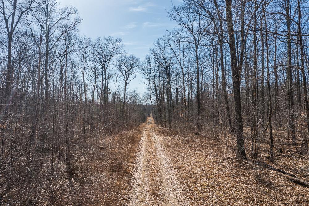 TBD 250th Place, Isle MN 56342 - Photo 5 of 26