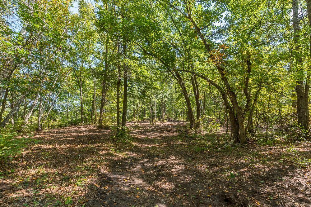 land for sale at Tract B TBD Little Pine Road in Brainerd, MN (photo 11 of 22)