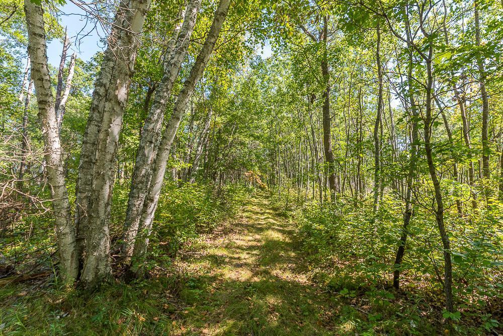 land for sale at Tract B TBD Little Pine Road in Brainerd, MN (photo 12 of 22)