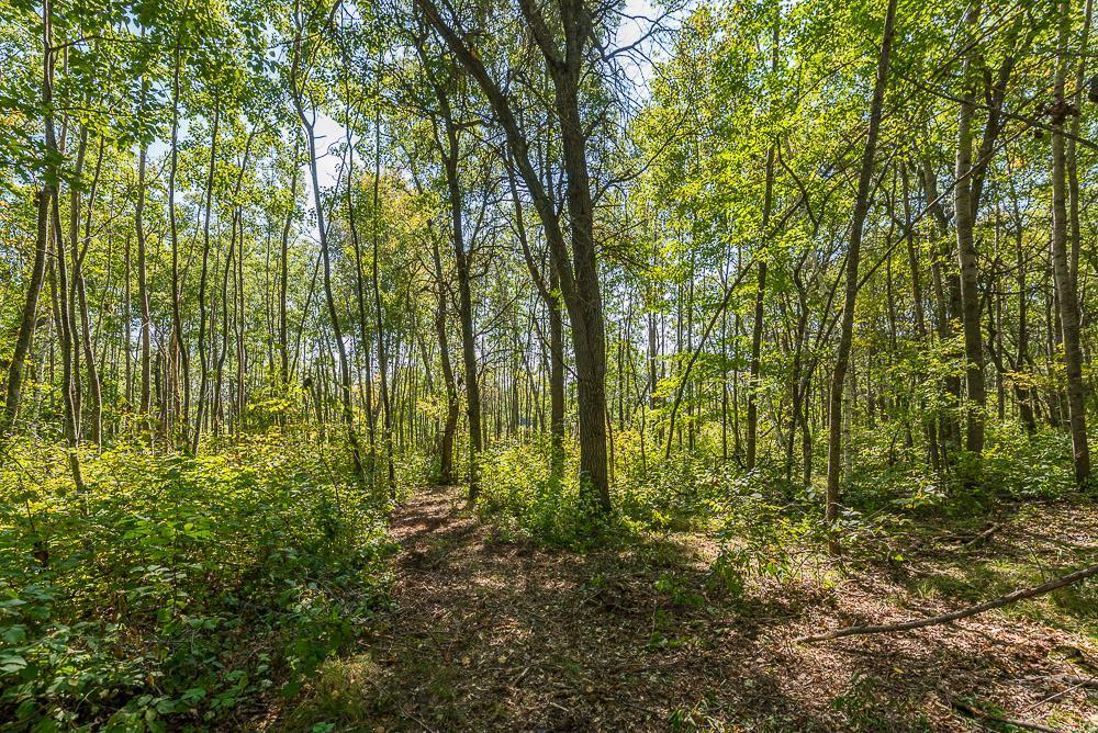 land for sale at Tract B TBD Little Pine Road in Brainerd, MN (photo 13 of 22)