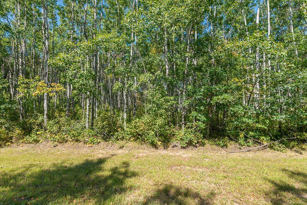 land for sale at Tract B TBD Little Pine Road in Brainerd, MN (photo 15 of 22)