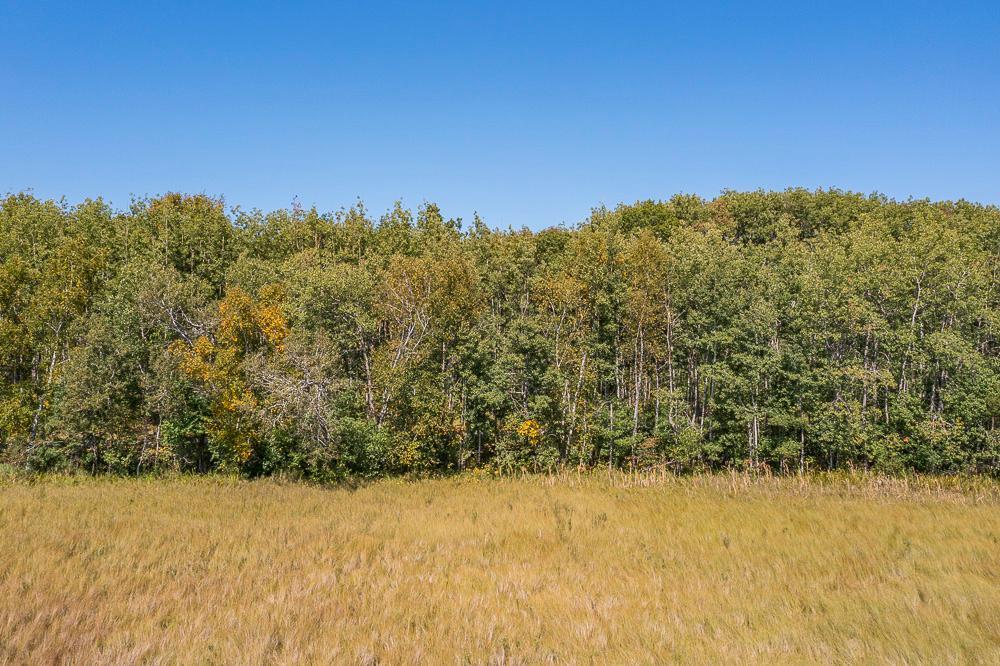land for sale at Tract B TBD Little Pine Road in Brainerd, MN (photo 16 of 22)