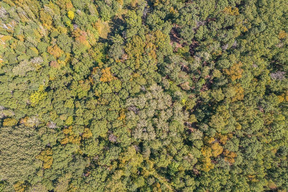 land for sale at Tract B TBD Little Pine Road in Brainerd, MN (photo 18 of 22)