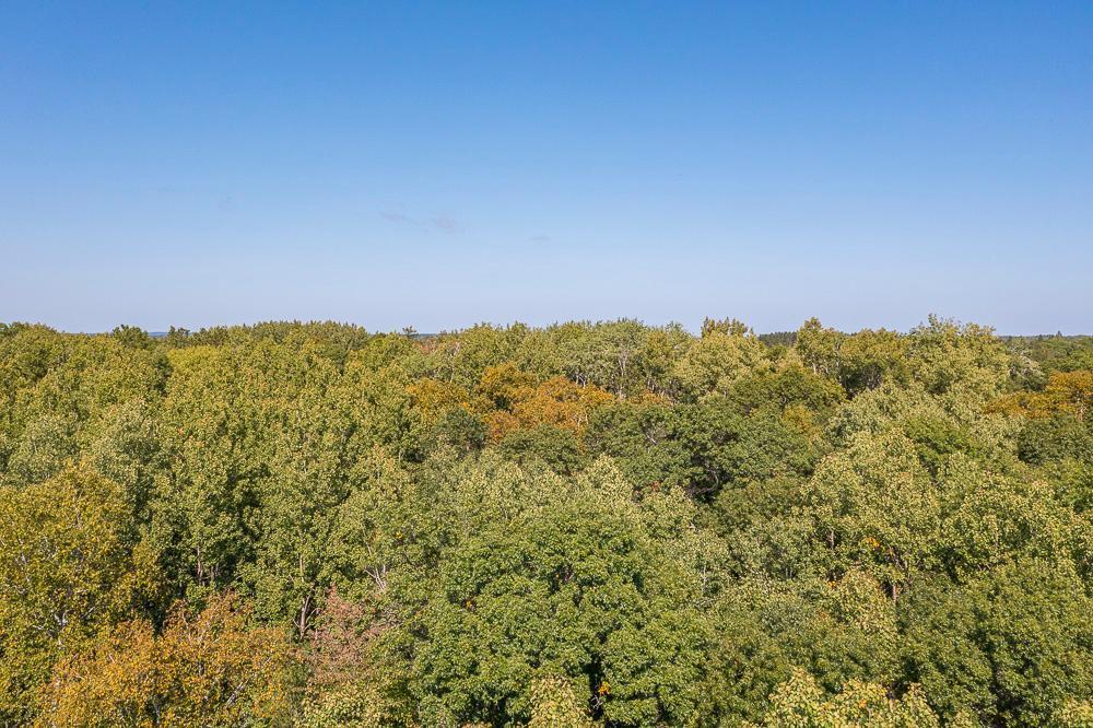 land for sale at Tract B TBD Little Pine Road in Brainerd, MN (photo 22 of 22)