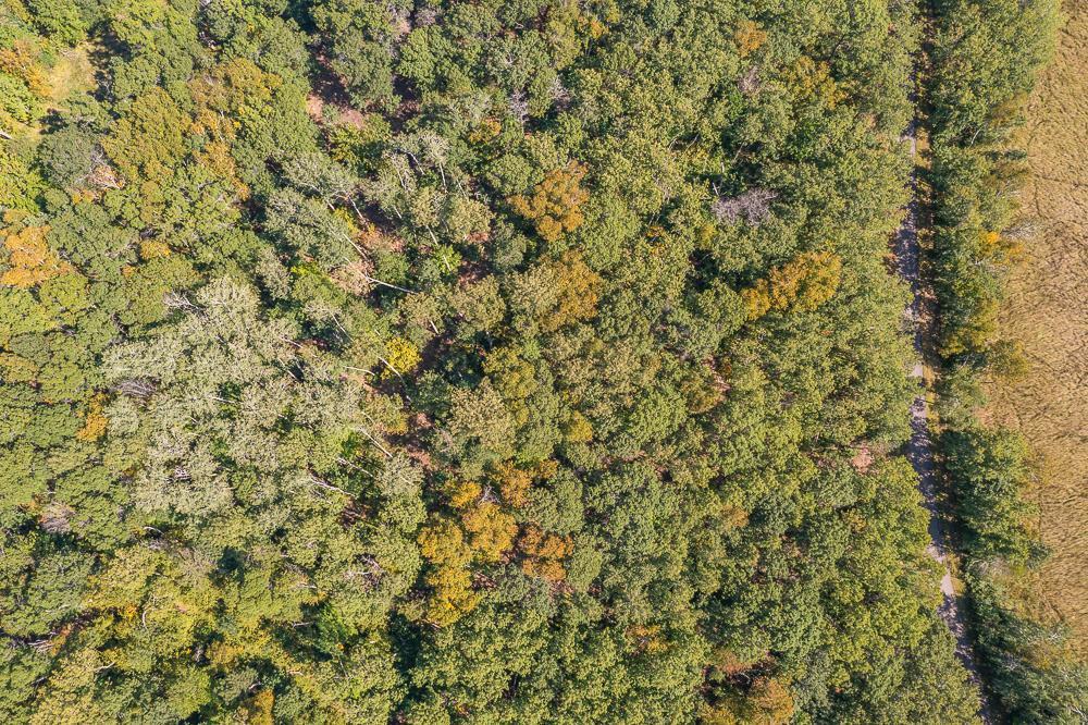 land for sale at Tract B TBD Little Pine Road in Brainerd, MN (photo 6 of 22)