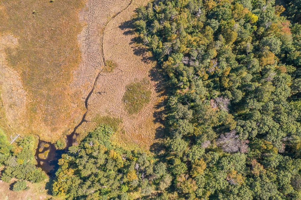 land for sale at Tract B TBD Little Pine Road in Brainerd, MN (photo 7 of 22)