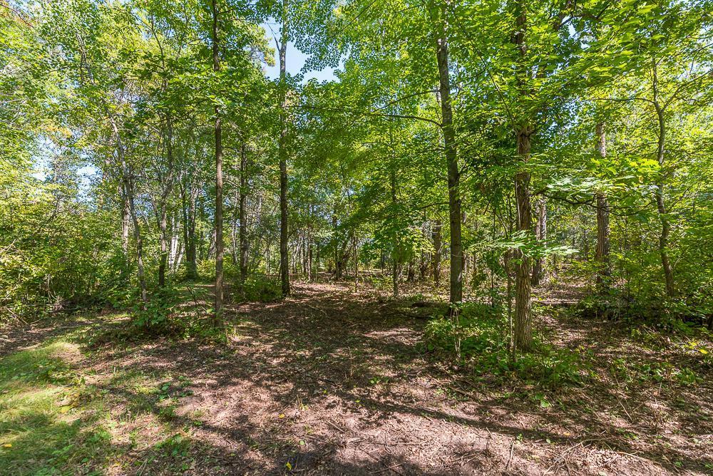 land for sale at Tract B TBD Little Pine Road in Brainerd, MN (photo 8 of 22)