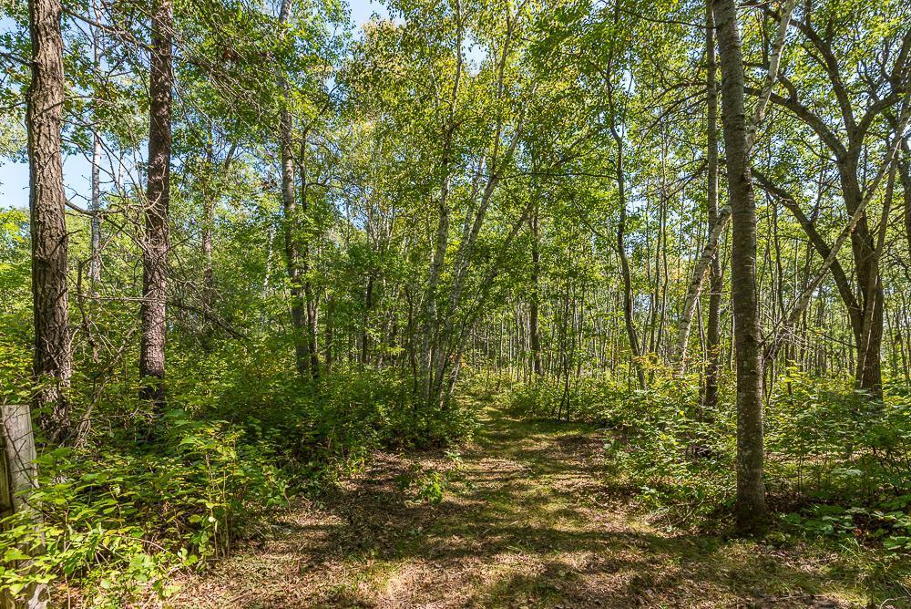 land for sale at Tract B TBD Little Pine Road in Brainerd, MN (photo 9 of 22)