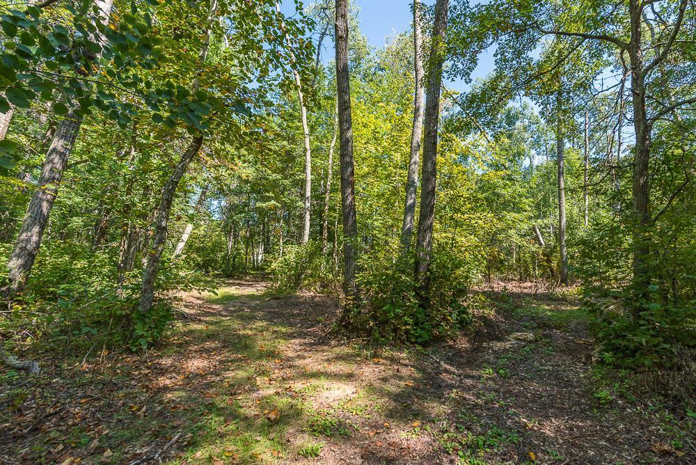 land for sale at Tract B TBD Little Pine Road in Brainerd, MN (photo 10 of 22)
