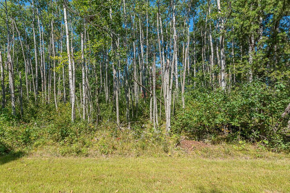 land for sale at Tract C TBD Little Pine Road in Brainerd, MN (photo 12 of 27)