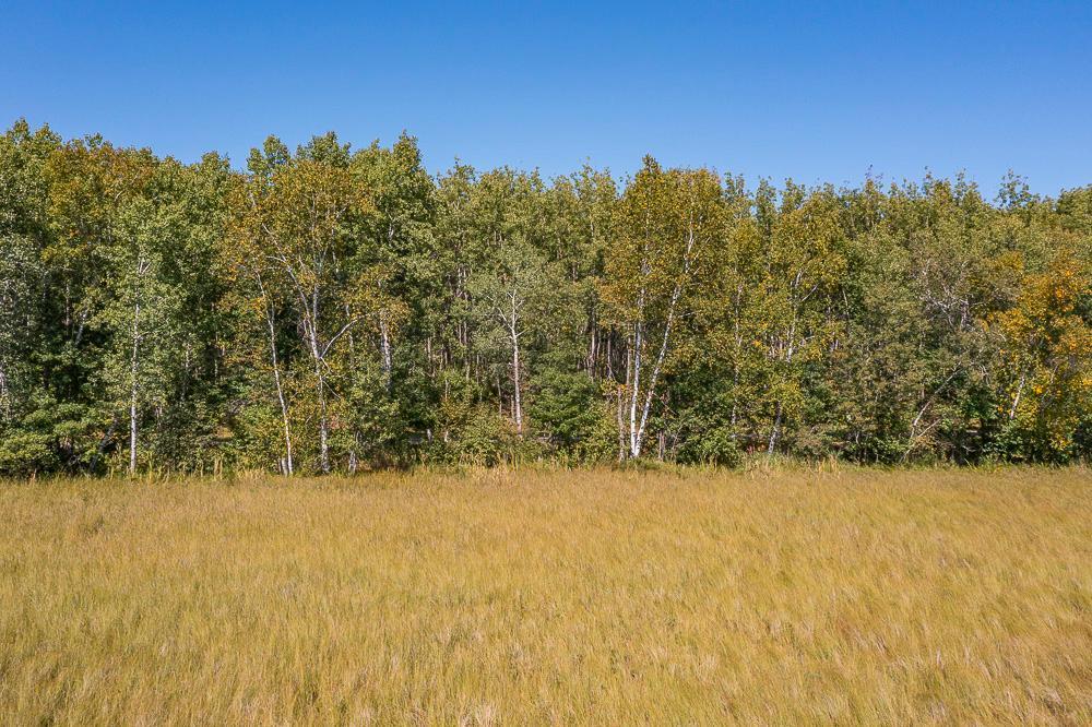 land for sale at Tract C TBD Little Pine Road in Brainerd, MN (photo 15 of 27)