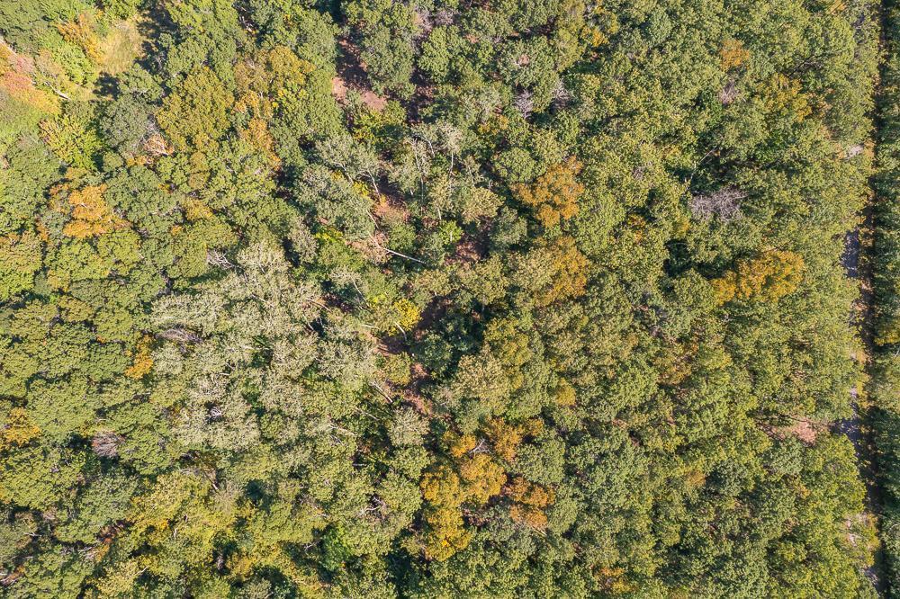 land for sale at Tract C TBD Little Pine Road in Brainerd, MN (photo 19 of 27)