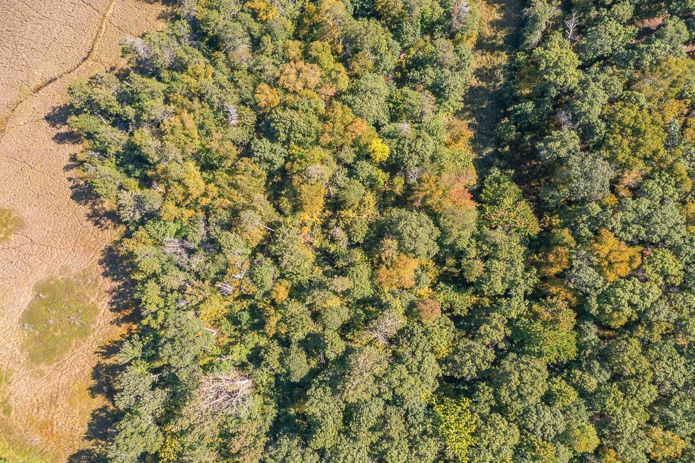 land for sale at Tract C TBD Little Pine Road in Brainerd, MN (photo 20 of 27)