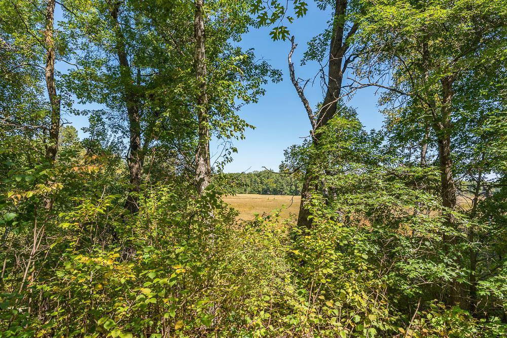 land for sale at Tract C TBD Little Pine Road in Brainerd, MN (photo 4 of 27)