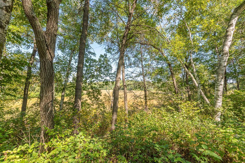 land for sale at Tract C TBD Little Pine Road in Brainerd, MN (photo 5 of 27)