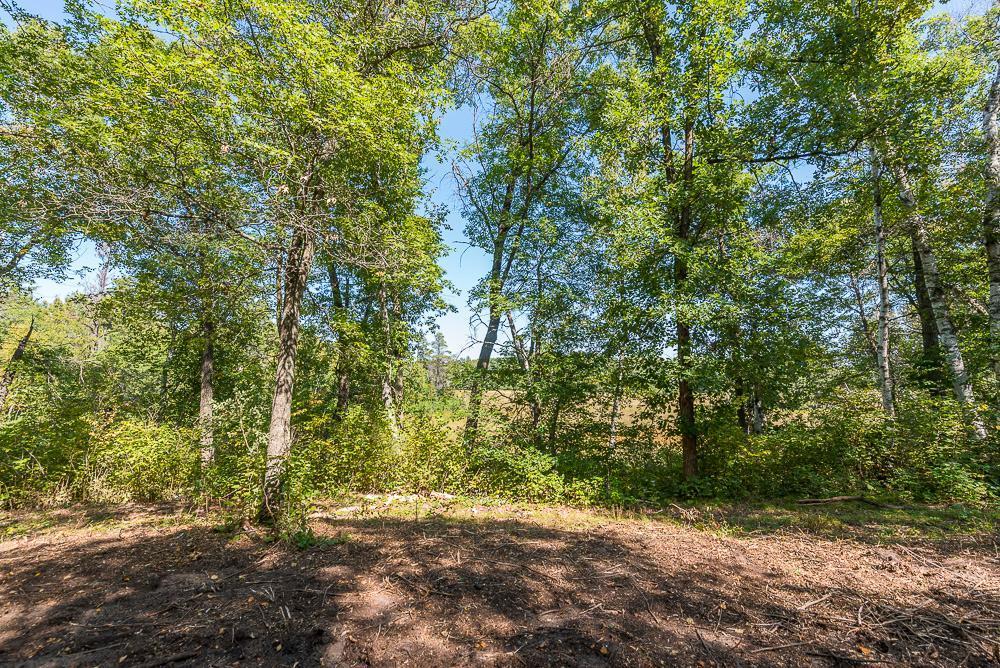land for sale at Tract C TBD Little Pine Road in Brainerd, MN (photo 6 of 27)