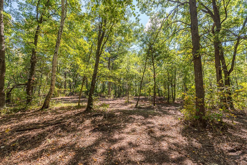 land for sale at Tract C TBD Little Pine Road in Brainerd, MN (photo 8 of 27)