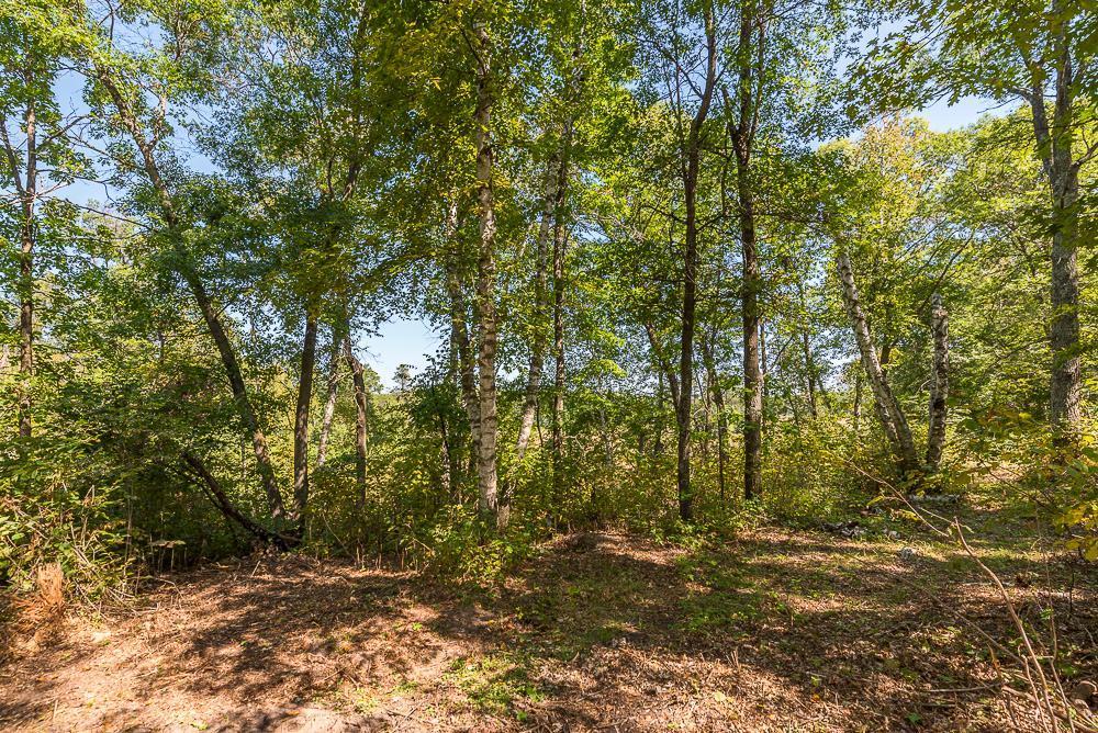 land for sale at Tract C TBD Little Pine Road in Brainerd, MN (photo 10 of 27)