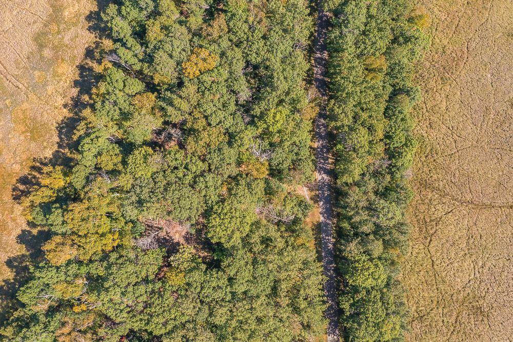 land for sale at Tract D TBD Little Pine Road in Brainerd, MN (photo 2 of 27)