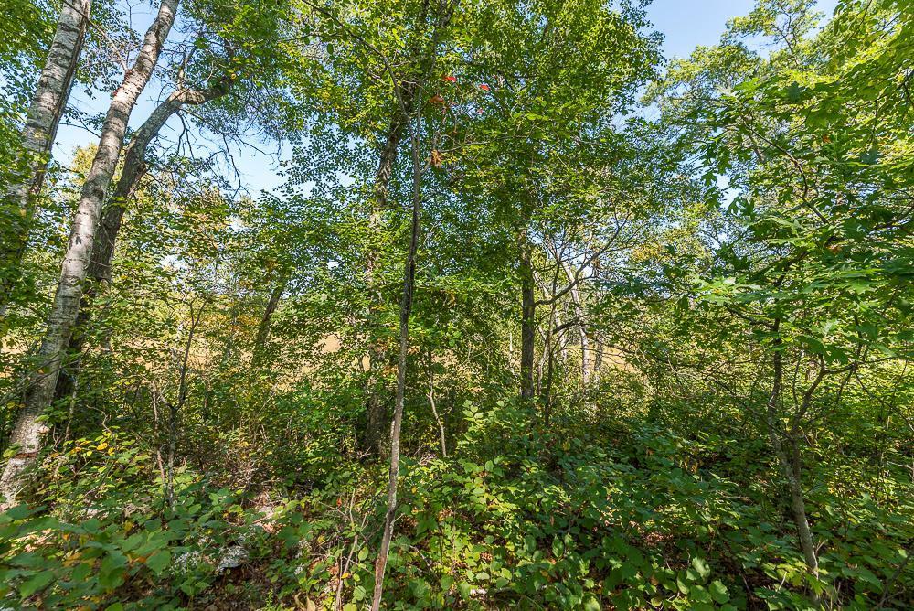 land for sale at Tract D TBD Little Pine Road in Brainerd, MN (photo 12 of 27)