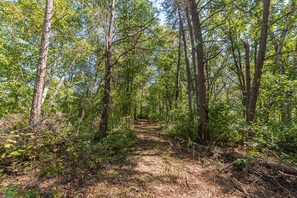 land for sale at Tract D TBD Little Pine Road in Brainerd, MN (photo 13 of 27)