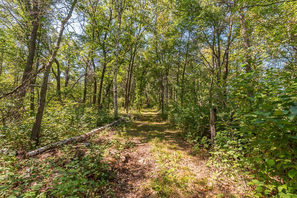 land for sale at Tract D TBD Little Pine Road in Brainerd, MN (photo 14 of 27)