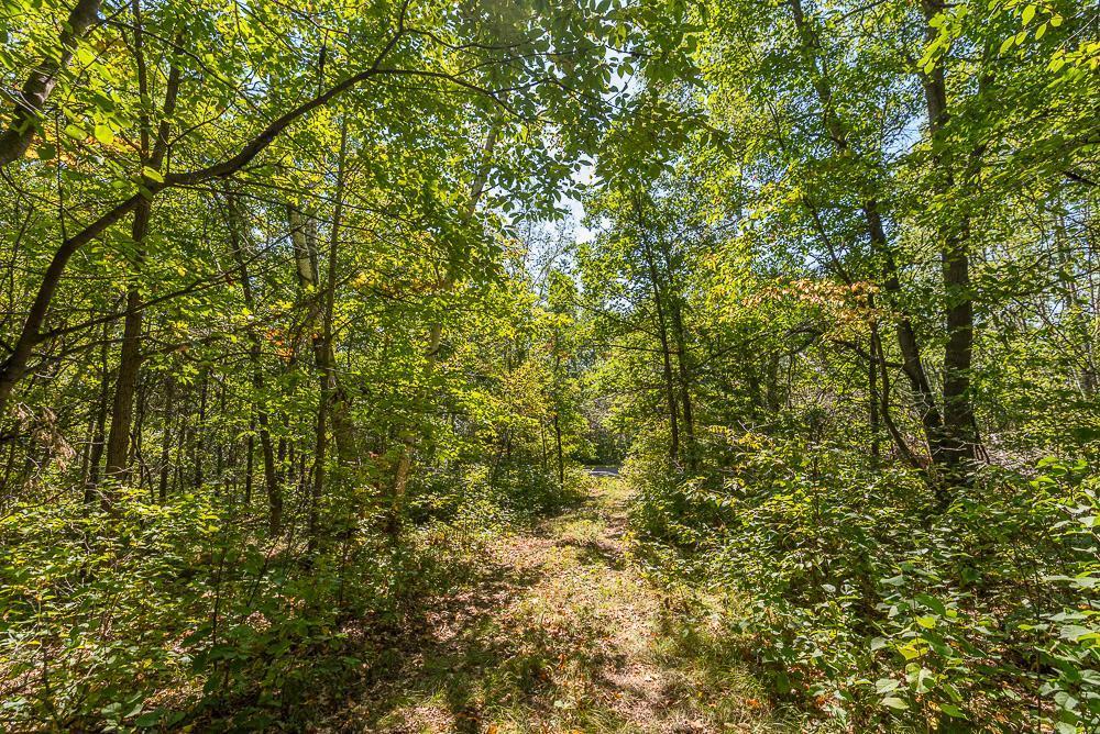 land for sale at Tract D TBD Little Pine Road in Brainerd, MN (photo 15 of 27)