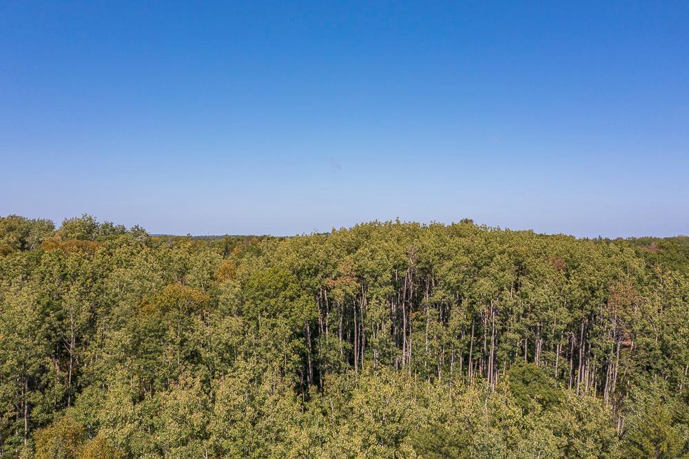 land for sale at Tract D TBD Little Pine Road in Brainerd, MN (photo 18 of 27)