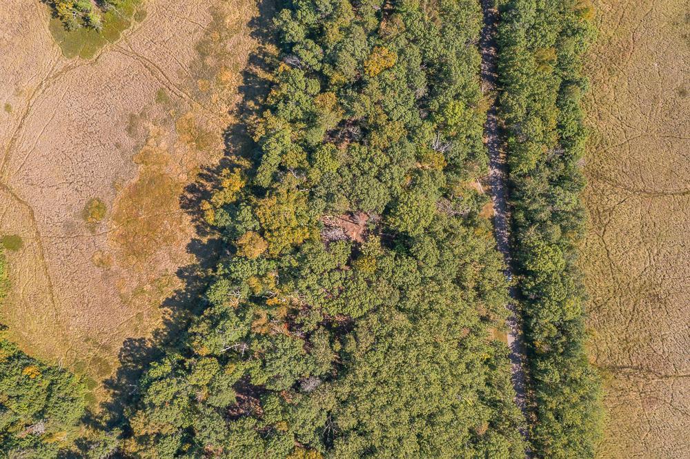 land for sale at Tract D TBD Little Pine Road in Brainerd, MN (photo 20 of 27)