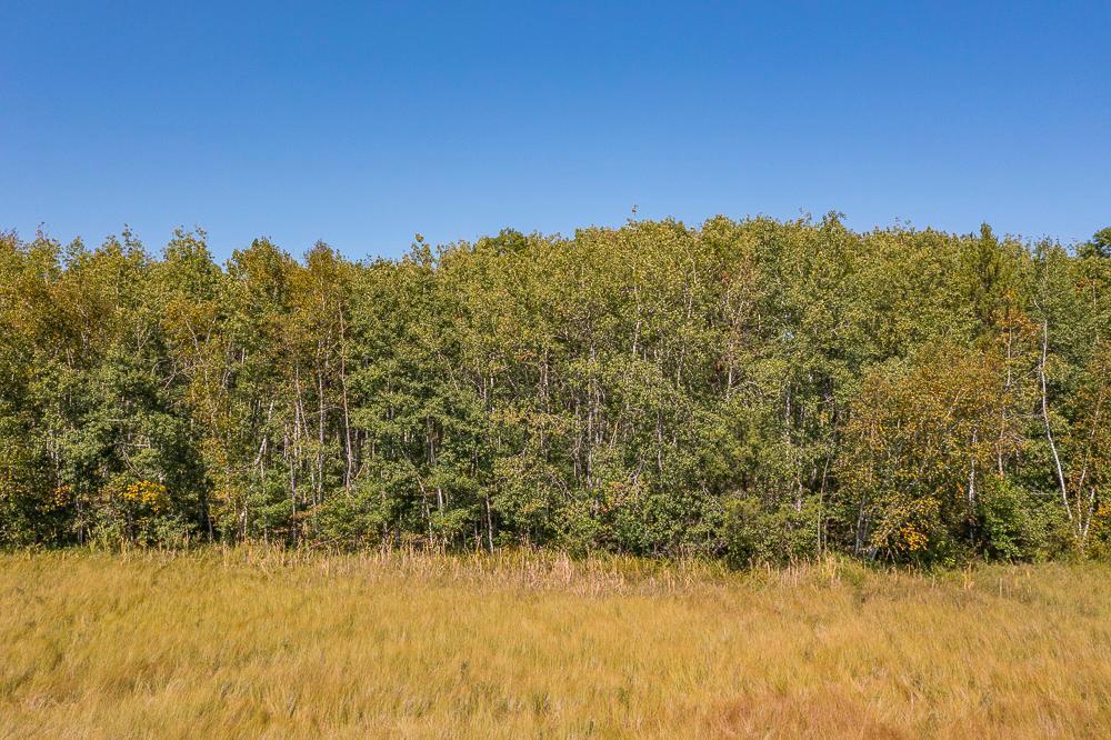 land for sale at Tract D TBD Little Pine Road in Brainerd, MN (photo 3 of 27)