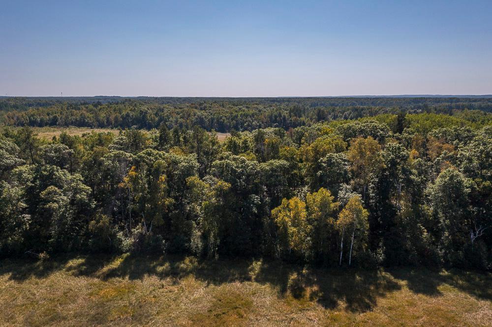 land for sale at Tract D TBD Little Pine Road in Brainerd, MN (photo 21 of 27)