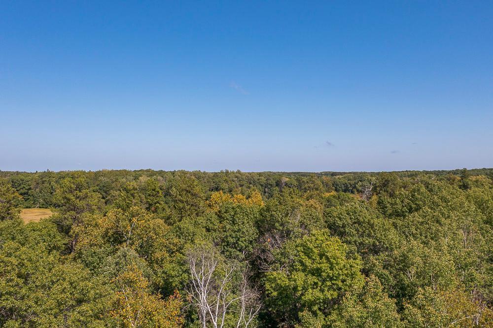land for sale at Tract D TBD Little Pine Road in Brainerd, MN (photo 26 of 27)