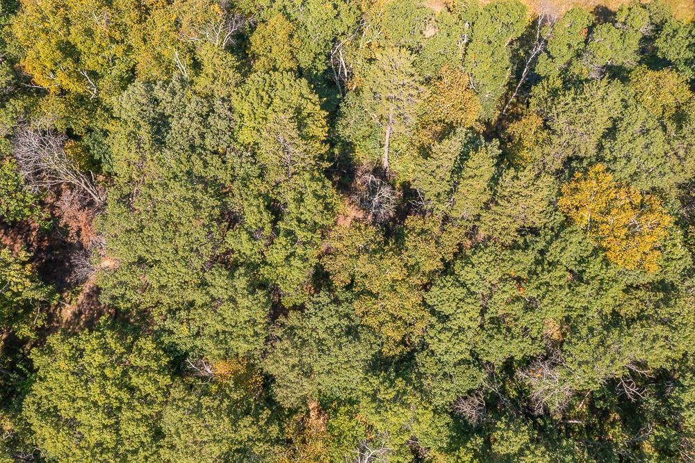 land for sale at Tract D TBD Little Pine Road in Brainerd, MN (photo 27 of 27)