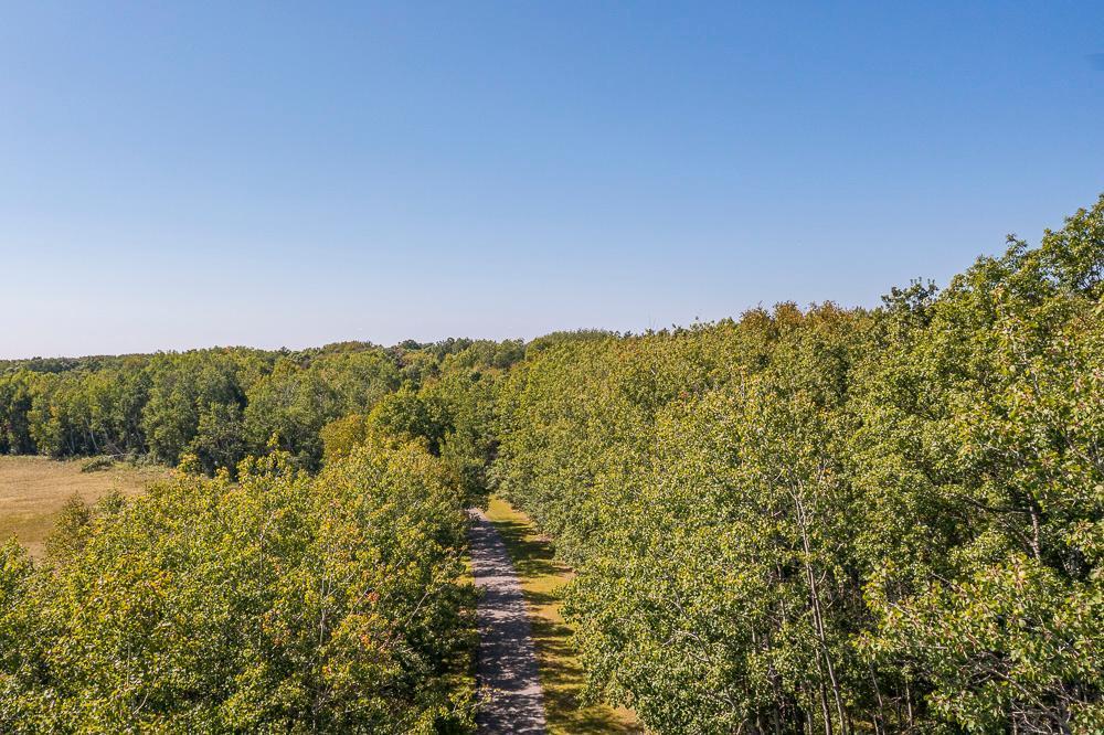 land for sale at Tract D TBD Little Pine Road in Brainerd, MN (photo 6 of 27)