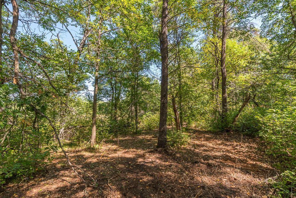 land for sale at Tract D TBD Little Pine Road in Brainerd, MN (photo 8 of 27)
