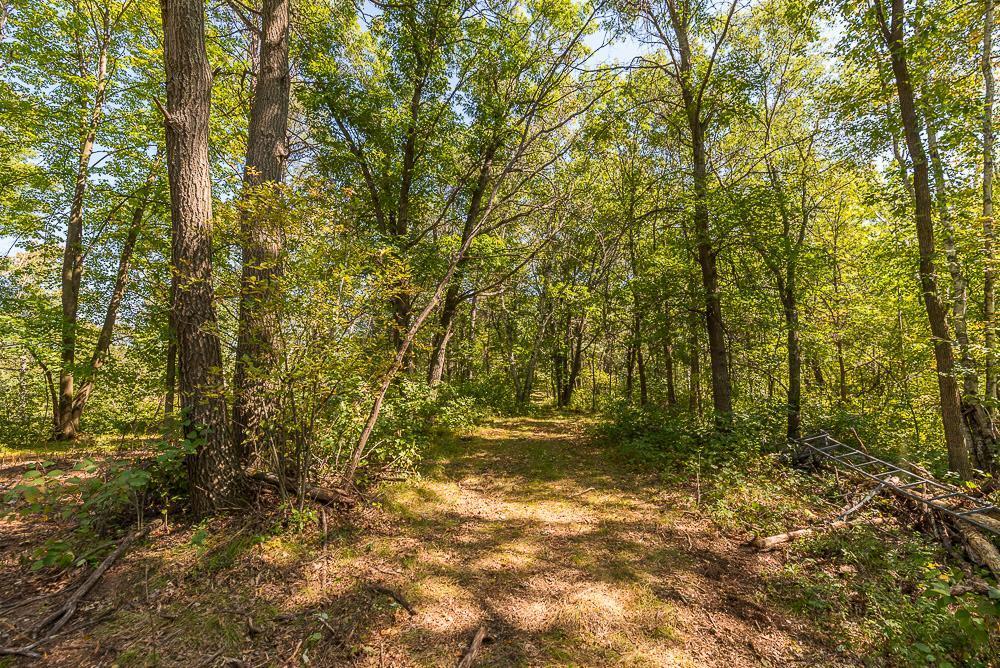 land for sale at Tract D TBD Little Pine Road in Brainerd, MN (photo 9 of 27)