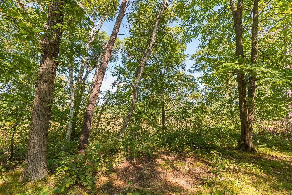 land for sale at Tract D TBD Little Pine Road in Brainerd, MN (photo 10 of 27)