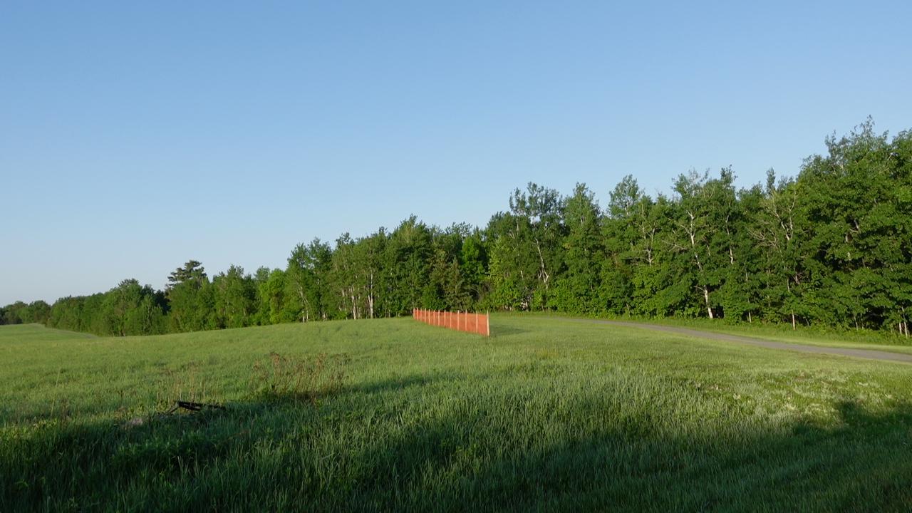 land for sale at TBD Bakkum Road NE in Bemidji, MN (photo 4 of 9)