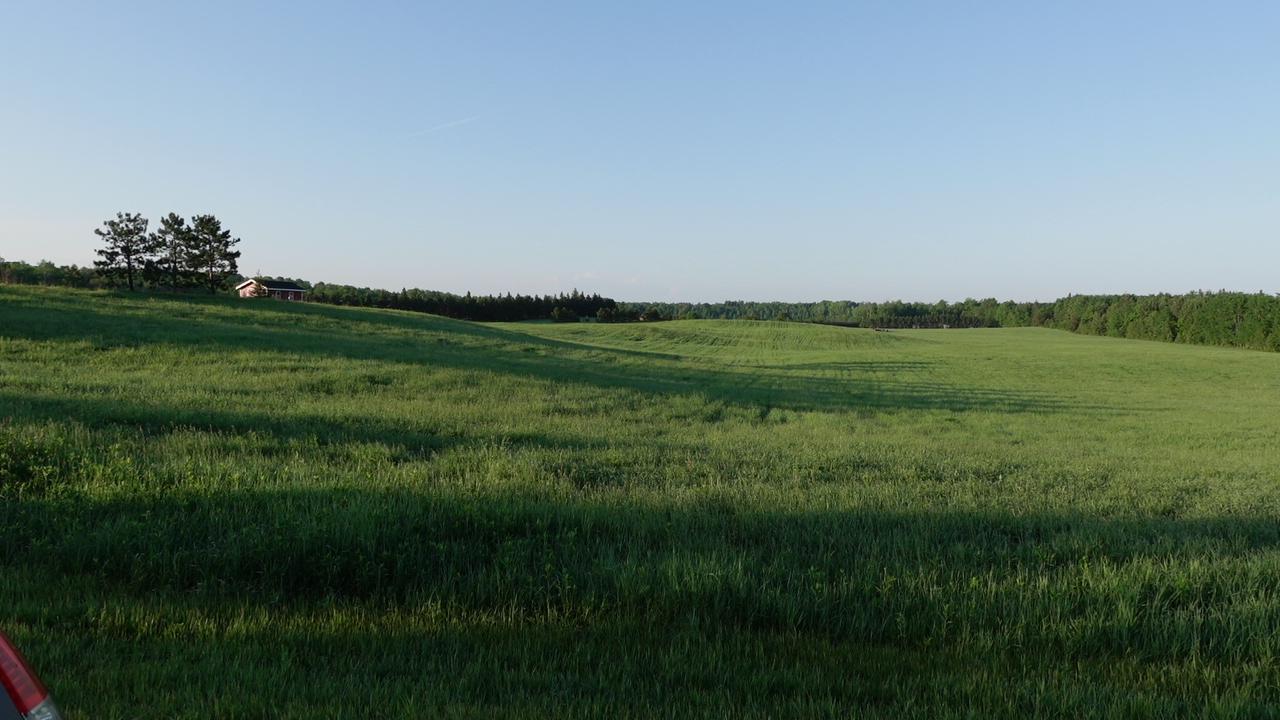 land for sale at TBD Bakkum Road NE in Bemidji, MN (photo 5 of 9)